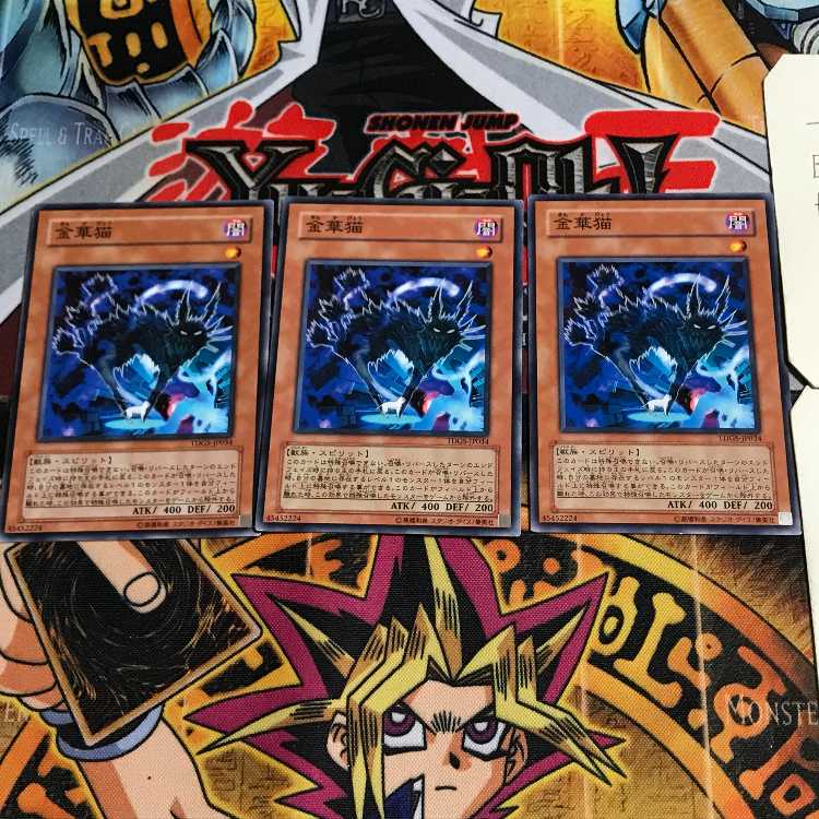 金華猫 8 ノーマル 3枚セット てら