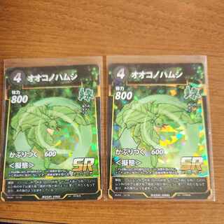 SR オオコノハムシ