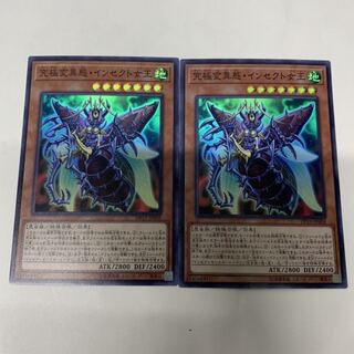 究極変異態インセクト女王2枚セット