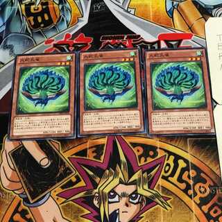 九蛇孔雀 5 ノーマル 3枚セット てら