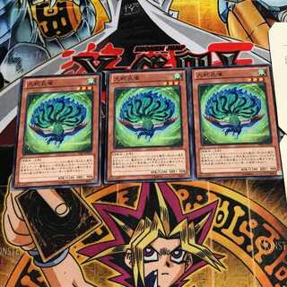 九蛇孔雀 6 ノーマル 3枚セット てら