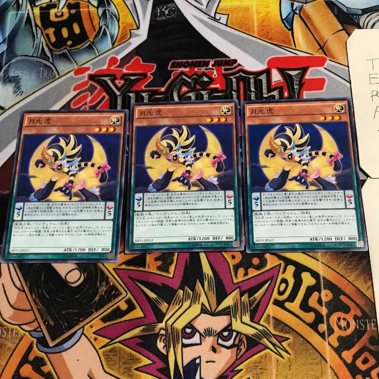 Lunalight Tiger 1 Normal, set of 3 Tera.