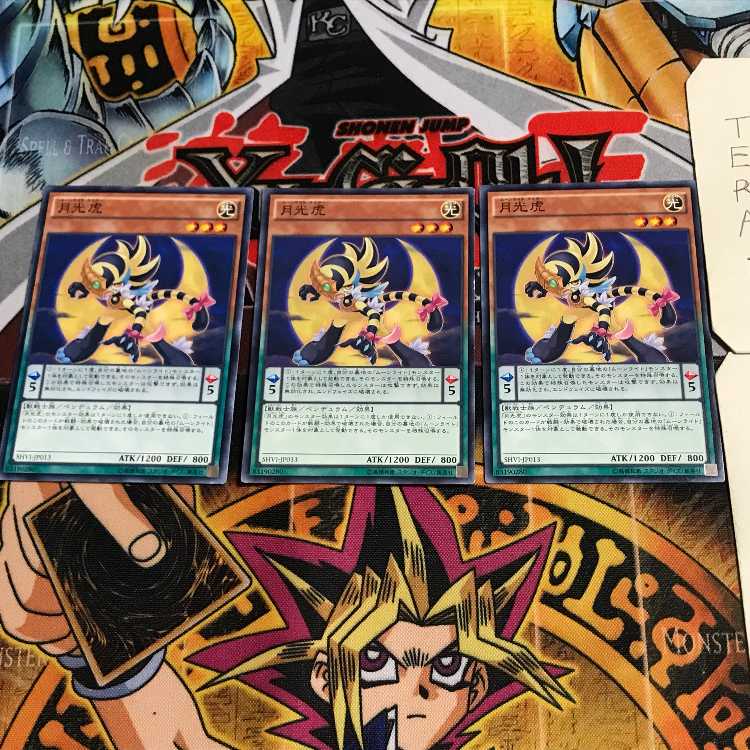 Lunalight Tiger 6 Normal, set of 3 Tera.