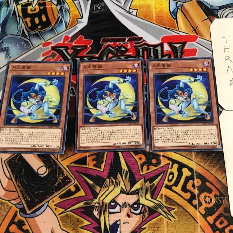 月光蒼猫 3 ノーマル 3枚セット てら