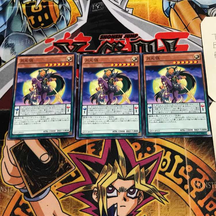 Lunalight Wolf 4 Normal, set of 3 Tera.