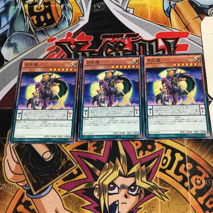 Lunalight Wolf 10 Normal, set of 3 Tera.