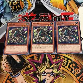 幻木龍 10 ノーマル 3枚セット てら