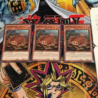 枯鰈葉リプレース 6 ノーマル 3枚セット てら