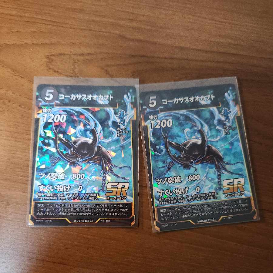 SR コーカサスオオカブト