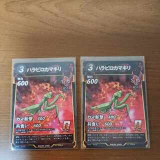 N ハラビロカマキリ