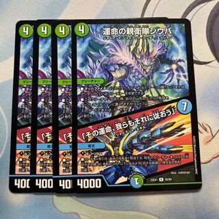 運命の親衛隊シウバ｜「その運命、我らもそれに従おう」 4枚