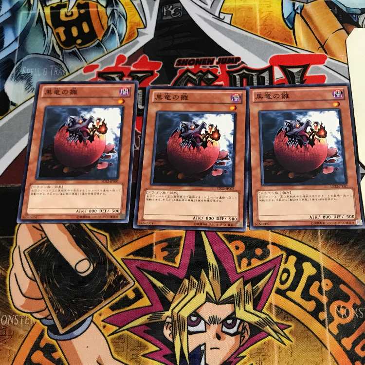 黒竜の雛 8 ノーマル 3枚セット てら