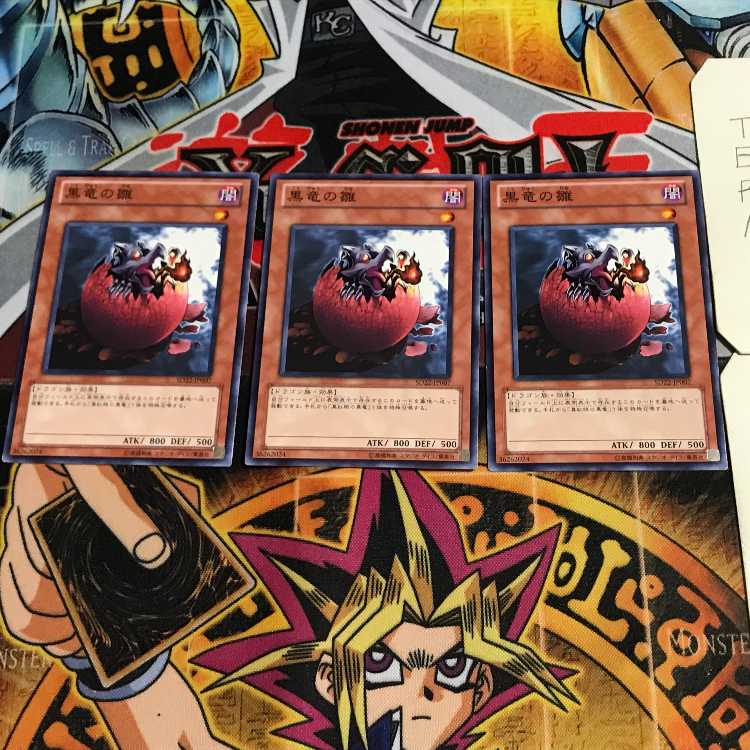 黒竜の雛 10 ノーマル 3枚セット てら