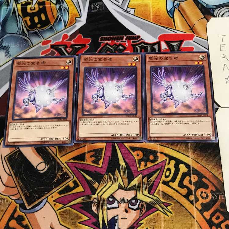 紫光の宣告者 6 ノーマル 3枚セット てら