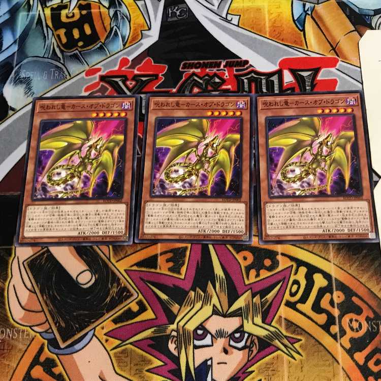 呪われし竜-カース・オブ・ドラゴン 7 ノーマル 3枚セット てら