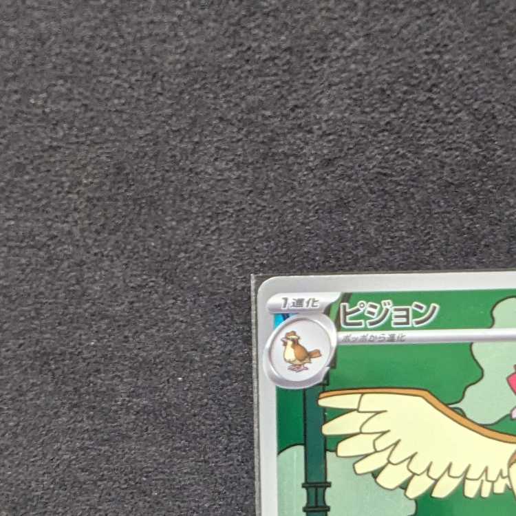 Pocketka Pidgeotto AR SV3