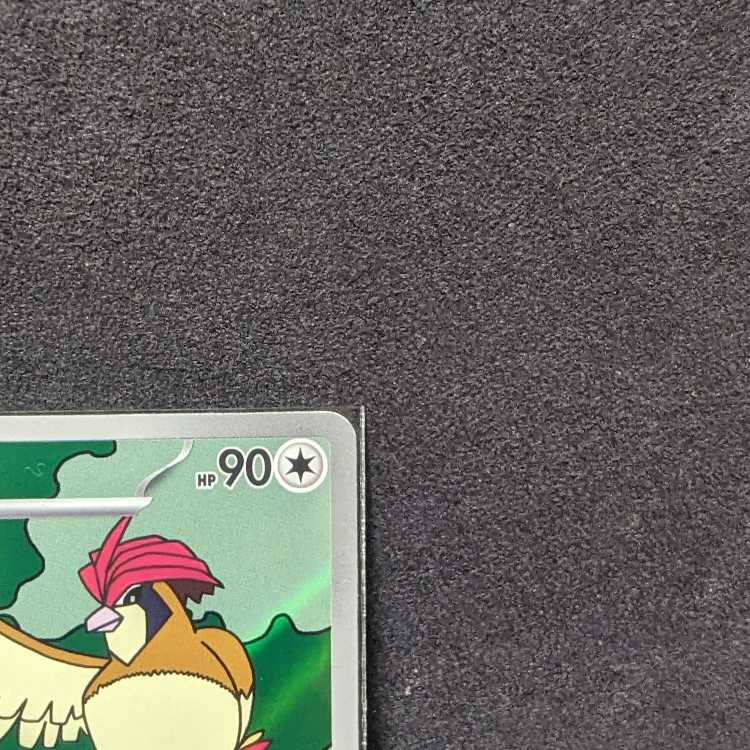 Pocketka Pidgeotto AR SV3