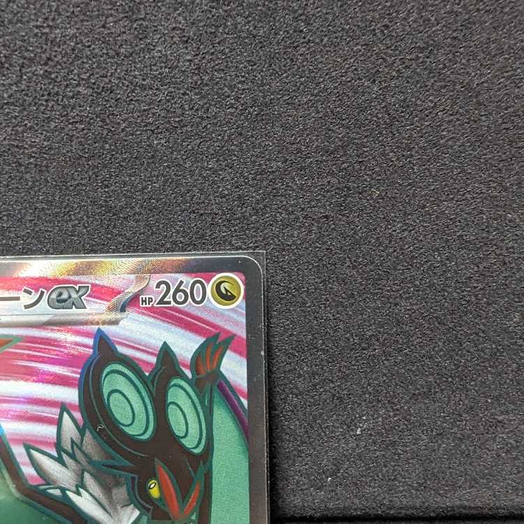 Pocketka Noivernex SR SV3D