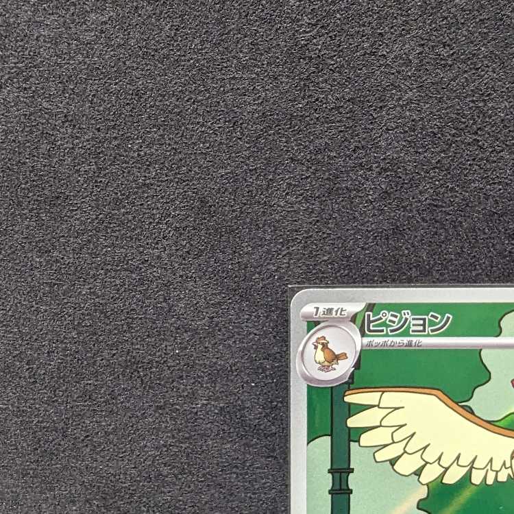 Pocketka Pidgeotto AR SV3