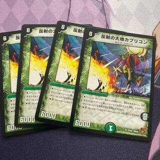 反射の大地カプリコン