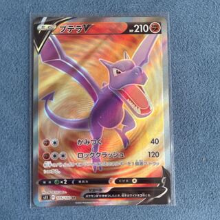 プテラV SR 105/100