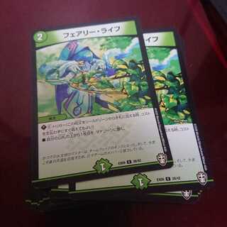 40枚 フェアリーライフ