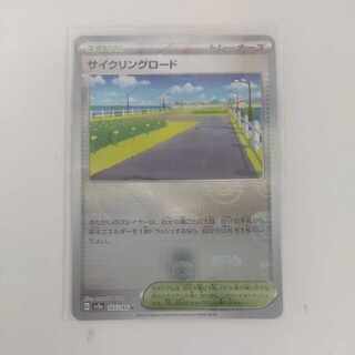 Cycling road (Master Ball pattern/mirror spec.) U 165/165