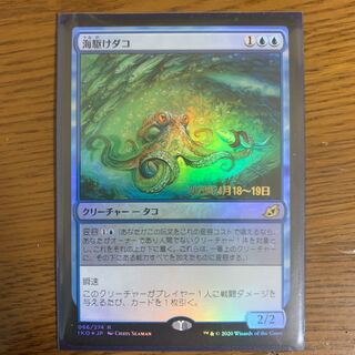 MTG 海駆けダコ 4枚 ショーケース foil 海駆けダコ」の激安通販 | magi