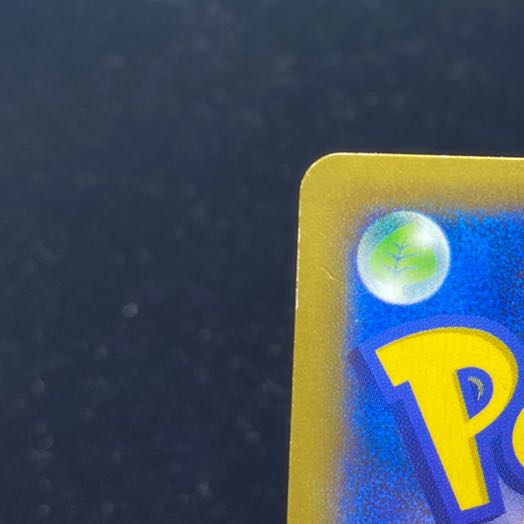 MCharizardEX RR 055/080