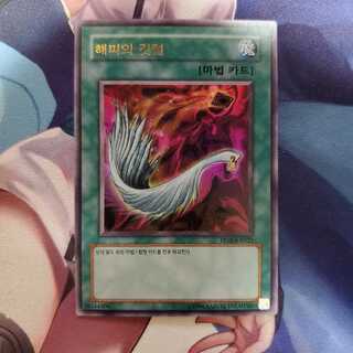 遊戯王　ハーピィの羽根帚　韓国版