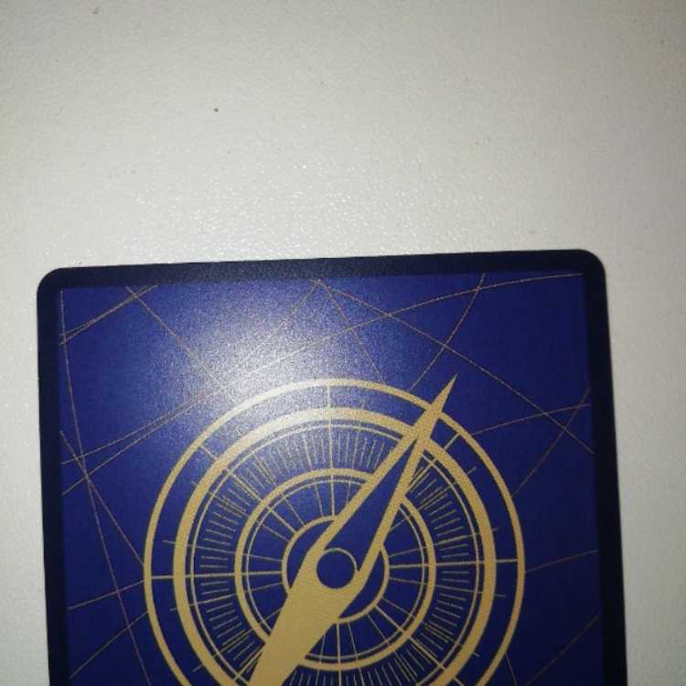 One Piece Card Monkey D Luffy SP Handbill