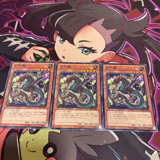 幻木龍 ノーマル JP010