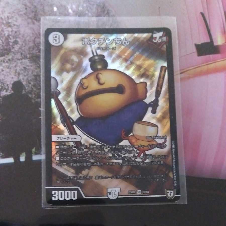 Pokuchin Chin SR 9/84