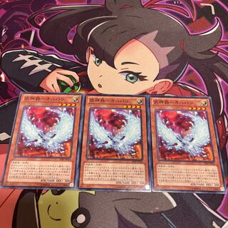 武神器-オハバリ ノーマル JP024