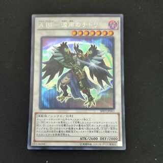 CST630 ABF - Tearful Rain Plover SE