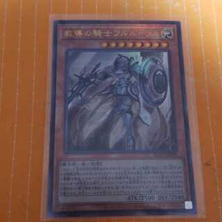 教導の騎士フルルドリス