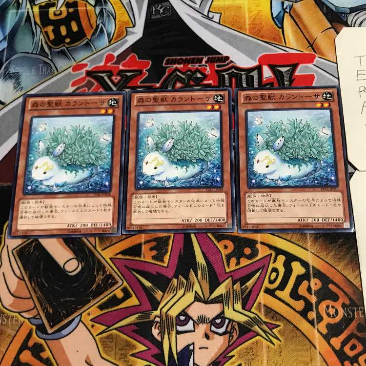 森の聖獣 カラントーサ 1 ノーマル 3枚セット てら