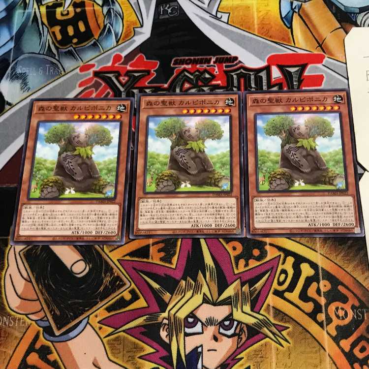 森の聖獣 カルピポニカ 6 ノーマル 3枚セット てら