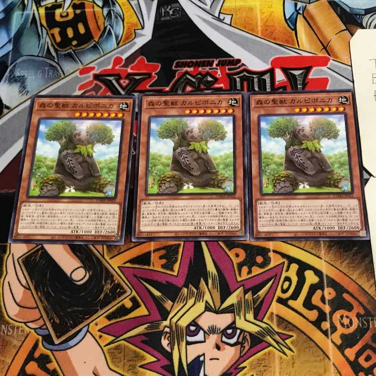 森の聖獣 カルピポニカ 8 ノーマル 3枚セット てら