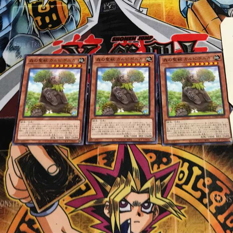 森の聖獣 カルピポニカ 9 ノーマル 3枚セット てら