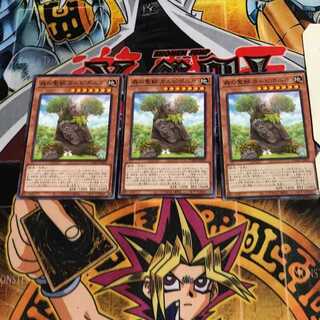 森の聖獣 カルピポニカ 9 ノーマル 3枚セット てら