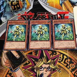 森羅の花卉士 ナルサス 1 ノーマル 3枚セット てら