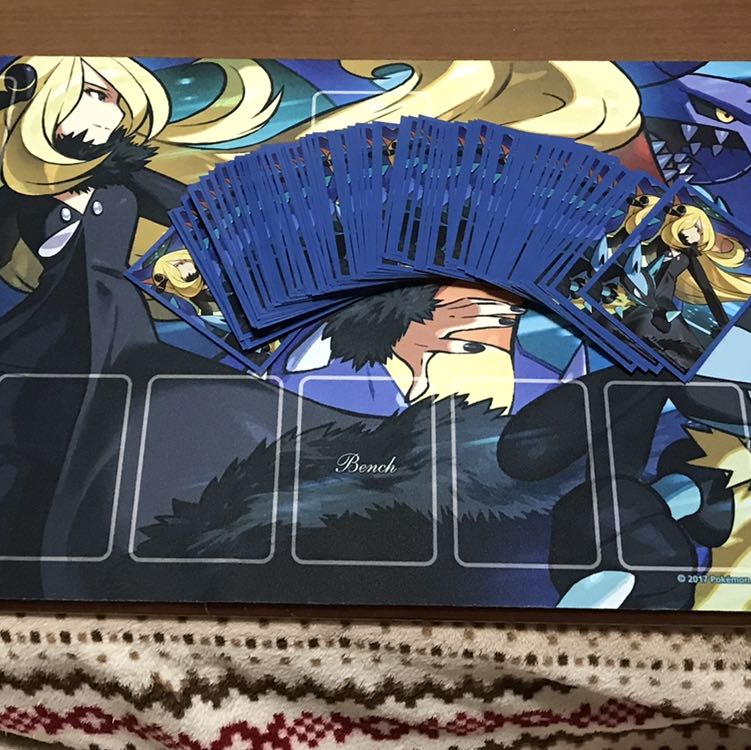 シロナ　プレマスリーブセット