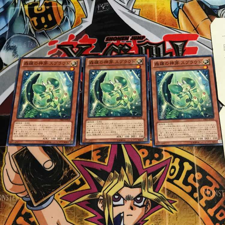 森羅の神芽 スプラウト 5 ノーマル 3枚セット てら