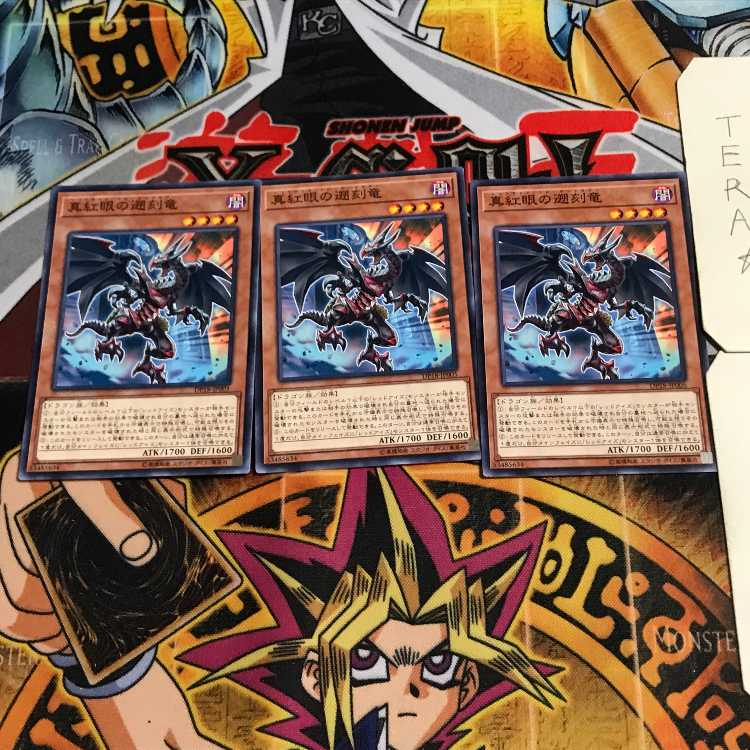 真紅眼の遡刻竜 3 ノーマル 3枚セット てら
