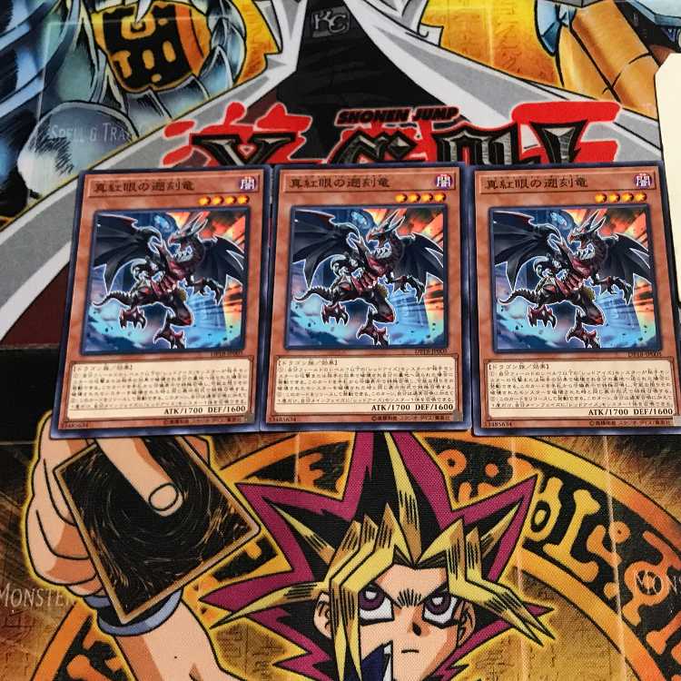 真紅眼の遡刻竜 5 ノーマル 3枚セット てら