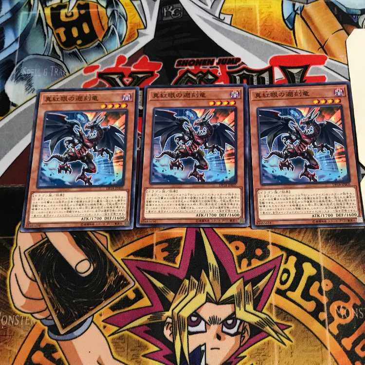 真紅眼の遡刻竜 10 ノーマル 3枚セット てら
