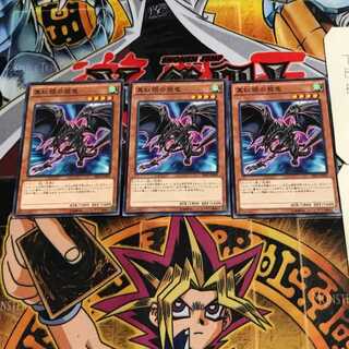 真紅眼の飛竜 6 ノーマル 3枚セット てら