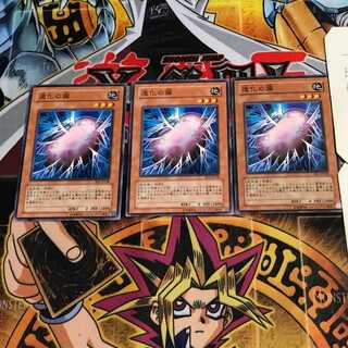 進化の繭 3 ノーマル 3枚セット てら