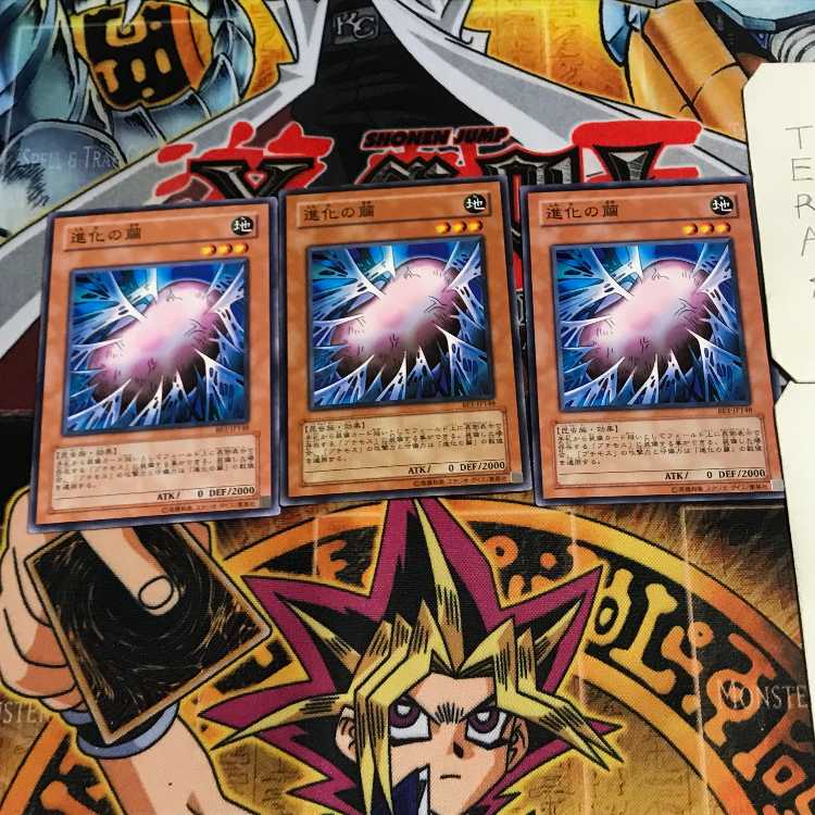 進化の繭 4 ノーマル 3枚セット てら